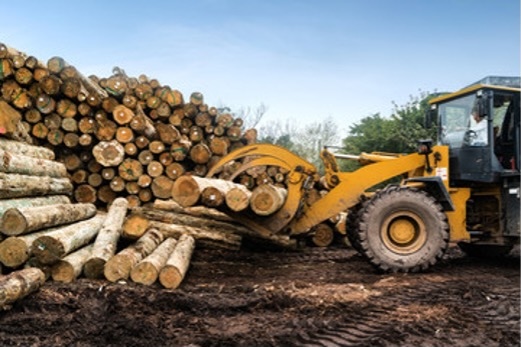 A small image of a forestry equipment