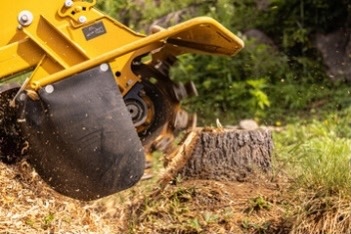 A small image of a forestry equipment