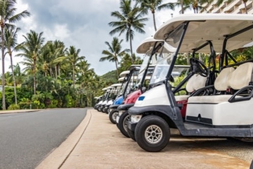 A small image of golf carts